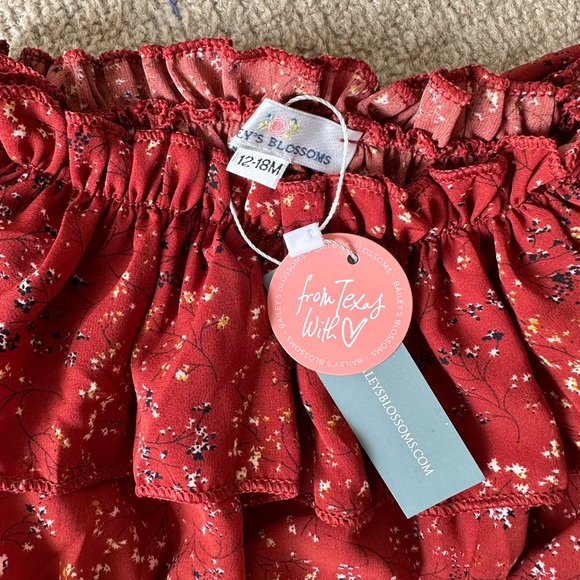 12M Girl Fall Bundle- Cat & Jack, Carters, Bailey’s Blossoms - Picture 4 of 9